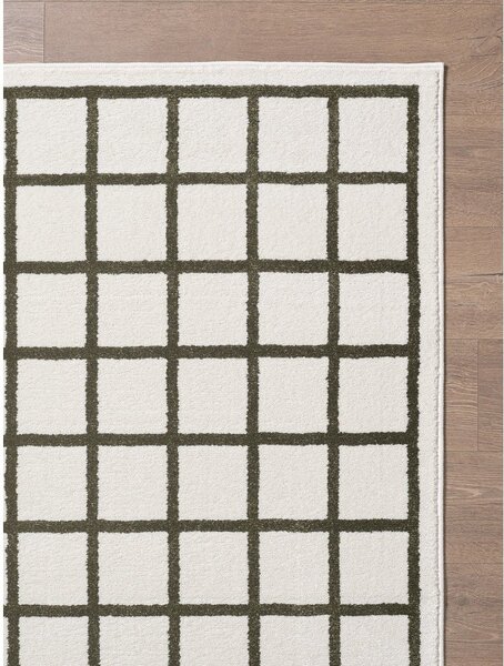 Tamno zeleni/krem tepih 120x170 cm Picnic – ESTE
