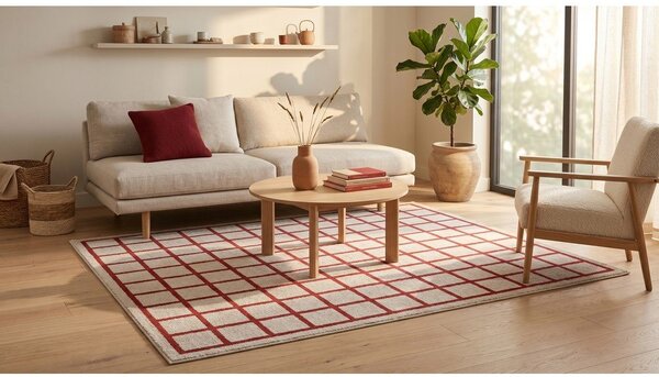 Crveni/bež tepih 120x170 cm Picnic – ESTE