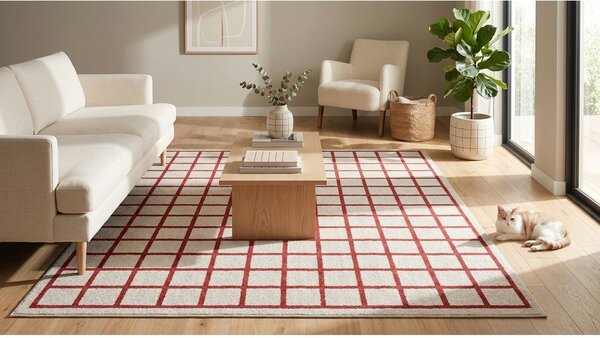 Crveni/bež tepih 120x170 cm Picnic – ESTE