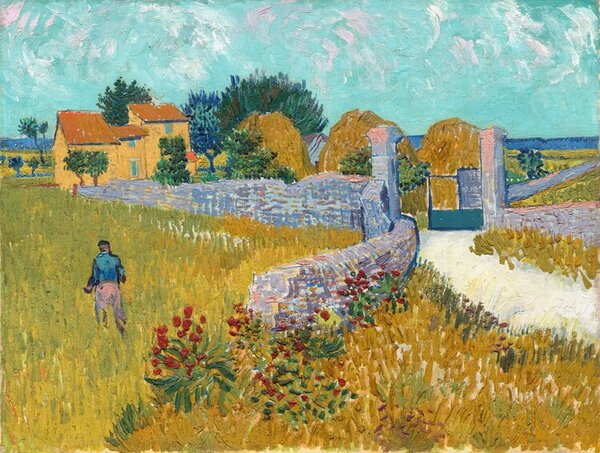 Reprodukcija Farmouse in Provence (1888), Vincent van Gogh