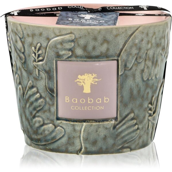 Baobab Collection Paz Colombe mirisna svijeća 500 g