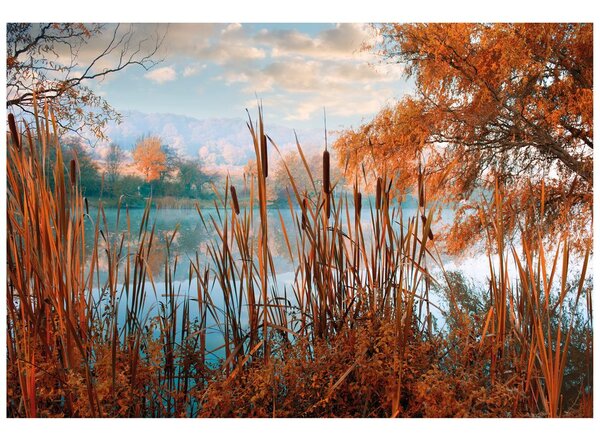 Fototapeta jezero usred jesenje prirode