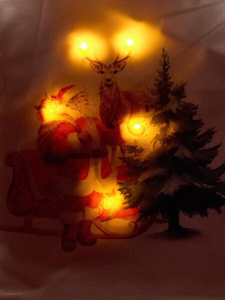 Sinsay - Navlaka za jastuk s LED lampicama