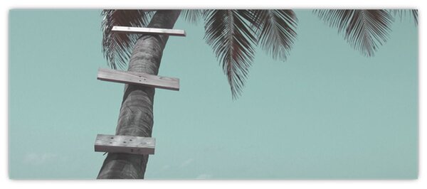 Slika - Palma na Karibima (120x50 cm)