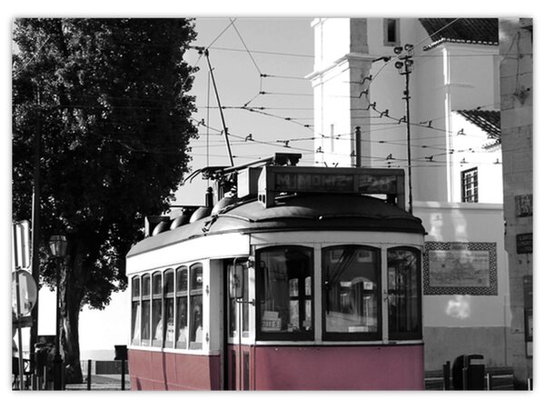 Slika - Tramvaj (70x50 cm)