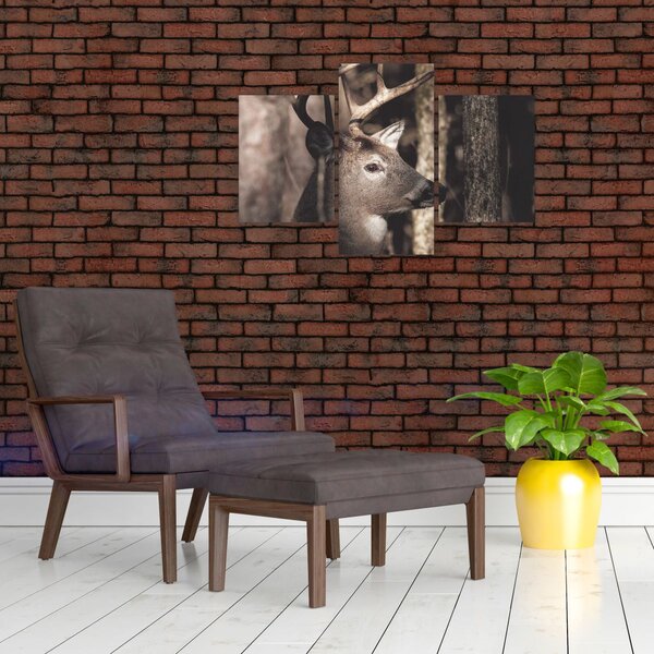 Slika - Jeleni u šumi (90x60 cm)