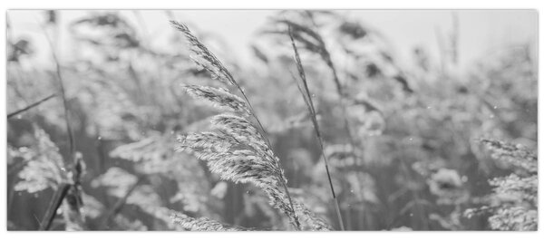 Slika - Trava na vjetru (120x50 cm)