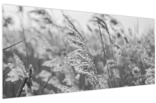 Slika - Trava na vjetru (120x50 cm)
