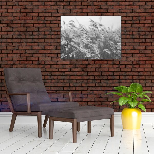 Slika - Trava na vjetru (70x50 cm)