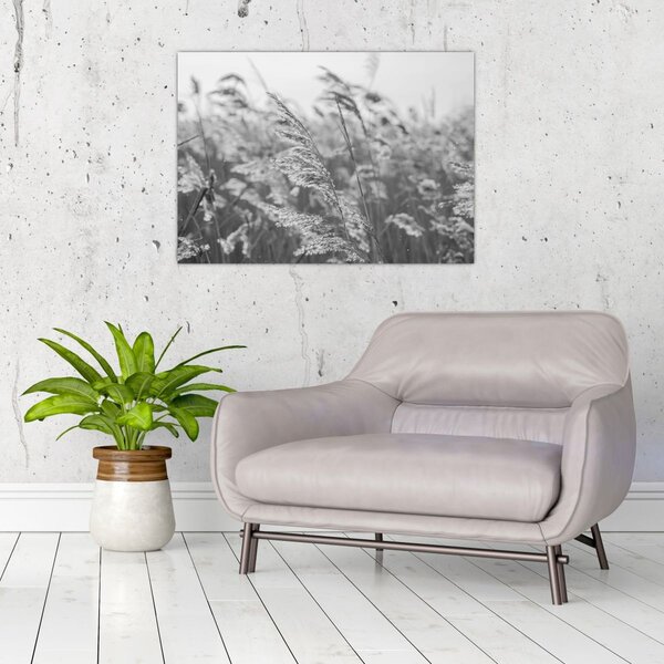 Slika - Trava na vjetru (70x50 cm)