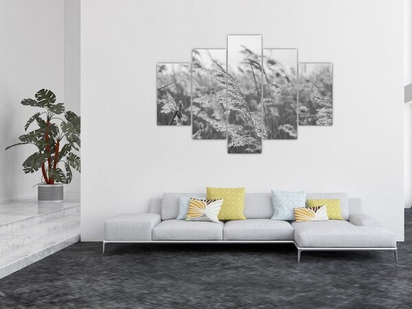 Slika - Trava na vjetru (150x105 cm)