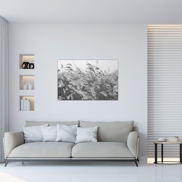 Slika - Trava na vjetru (90x60 cm)
