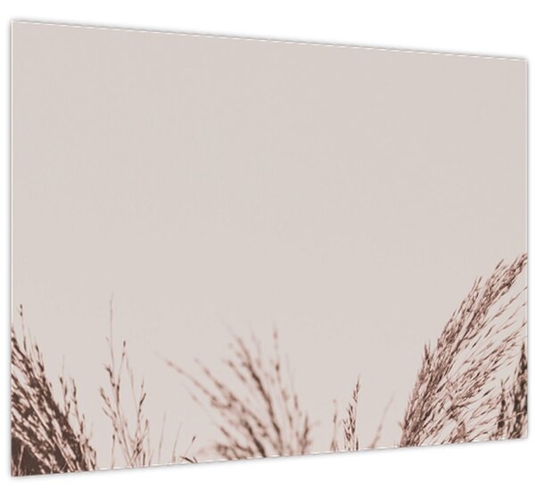 Slika - Osušena trava (70x50 cm)