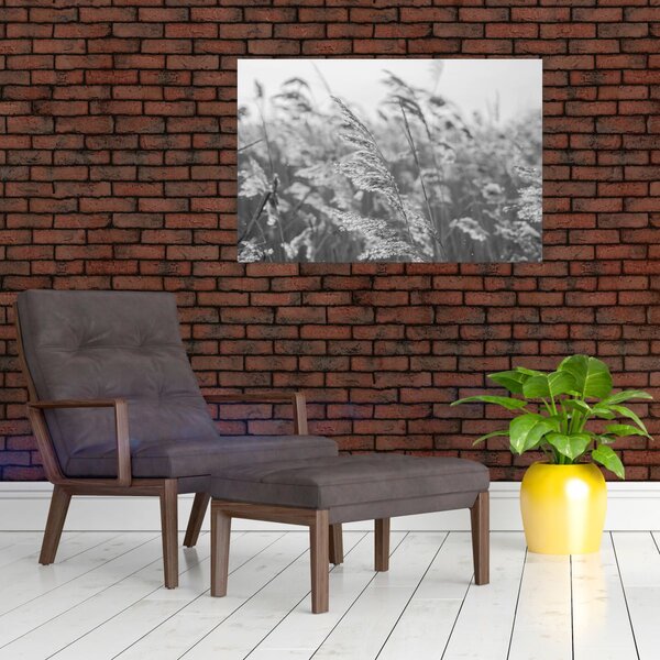 Slika - Trava na vjetru (90x60 cm)