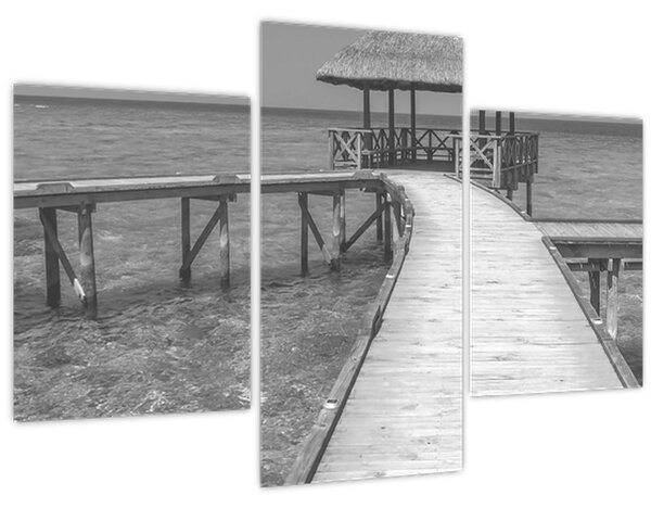 Slika - Maldivi (90x60 cm)