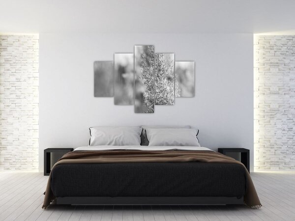Slika - Boho pampas trava (150x105 cm)