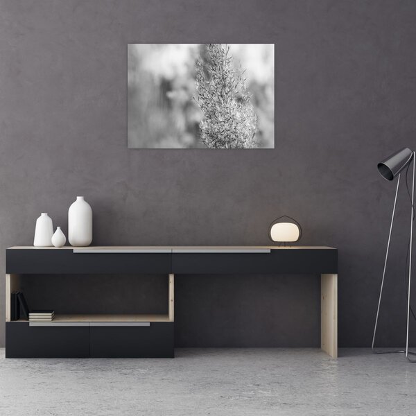 Slika - Boho pampas trava (70x50 cm)