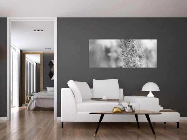 Slika - Boho pampas trava (120x50 cm)