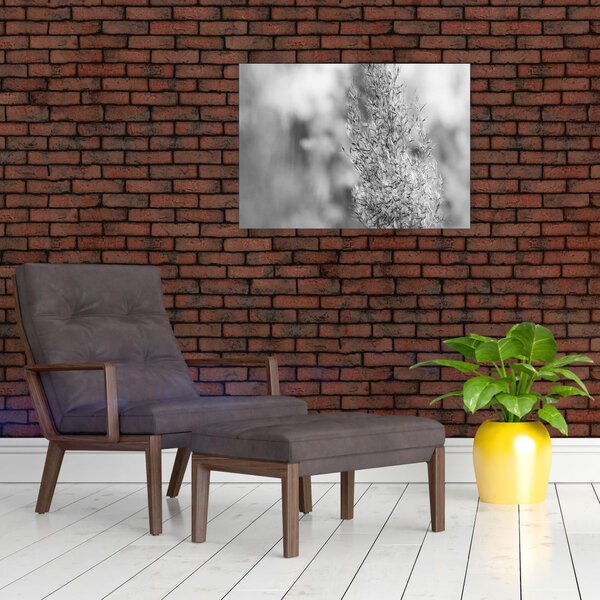 Slika - Boho pampas trava (70x50 cm)