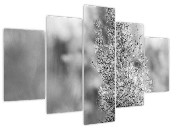 Slika - Boho pampas trava (150x105 cm)
