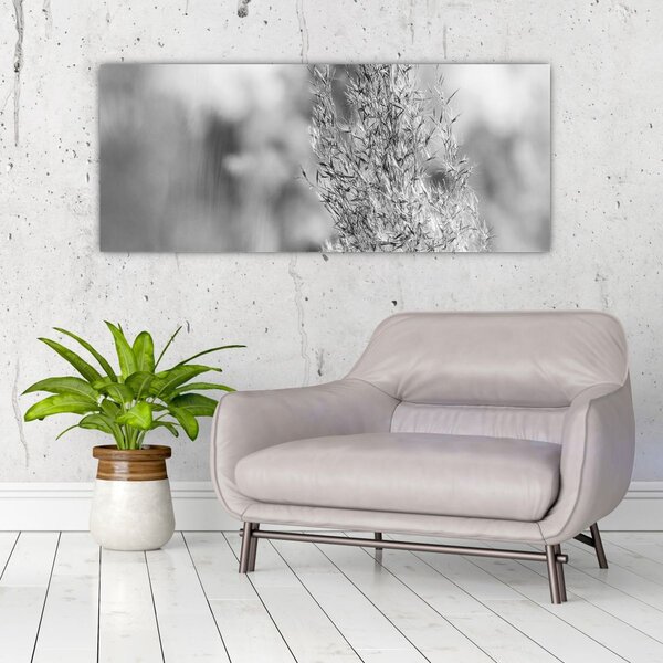 Slika - Boho pampas trava (120x50 cm)