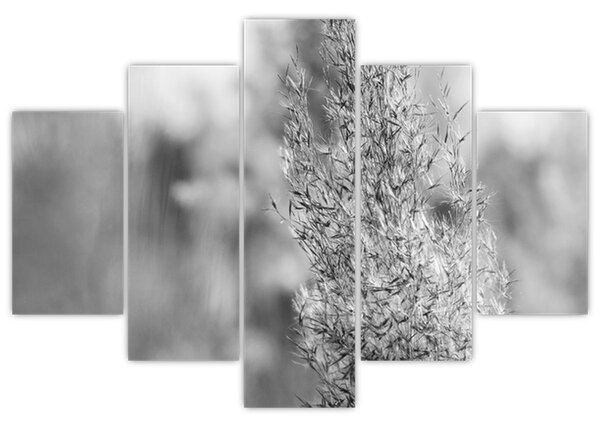 Slika - Boho pampas trava (150x105 cm)