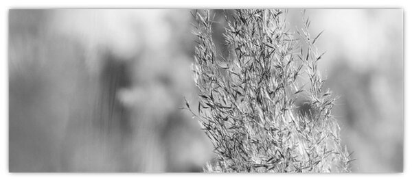 Slika - Boho pampas trava (120x50 cm)