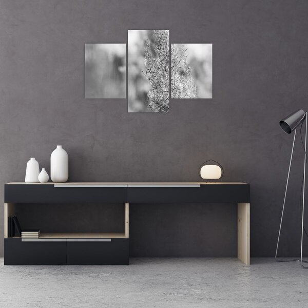 Slika - Boho pampas trava (90x60 cm)