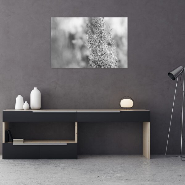 Slika - Boho pampas trava (90x60 cm)