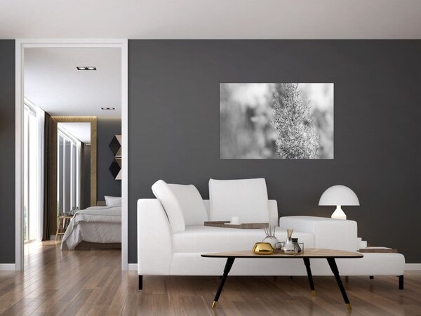Slika - Boho pampas trava (90x60 cm)