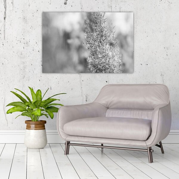 Slika - Boho pampas trava (90x60 cm)