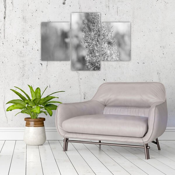Slika - Boho pampas trava (90x60 cm)