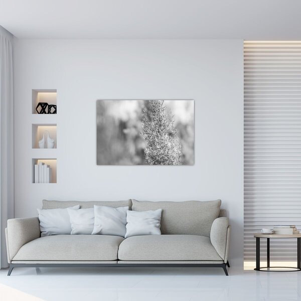 Slika - Boho pampas trava (90x60 cm)