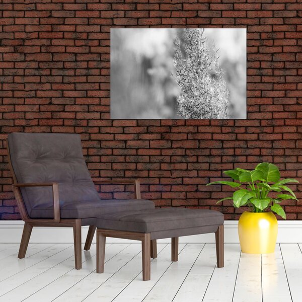 Slika - Boho pampas trava (90x60 cm)