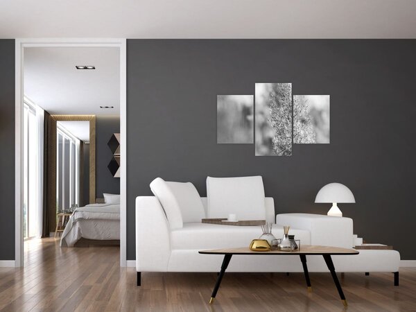 Slika - Boho pampas trava (90x60 cm)