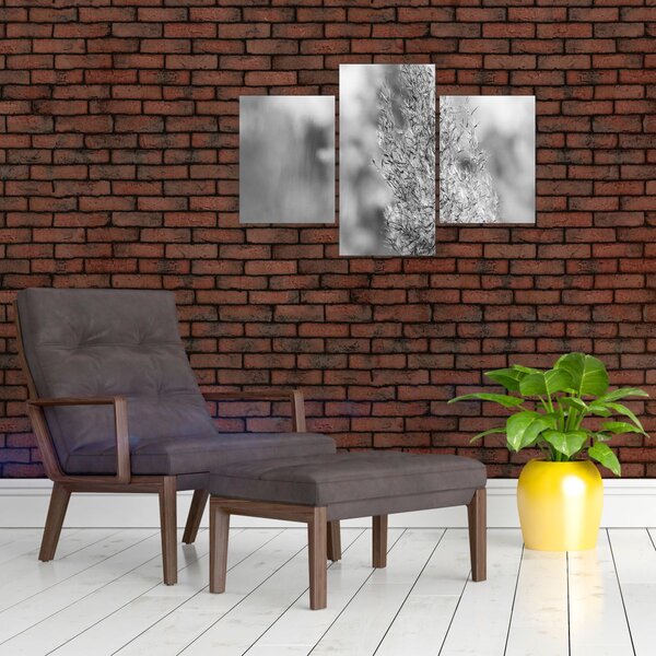 Slika - Boho pampas trava (90x60 cm)