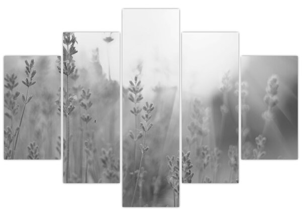 Slika - Lavanda (150x105 cm)