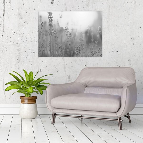 Slika - Lavanda (70x50 cm)