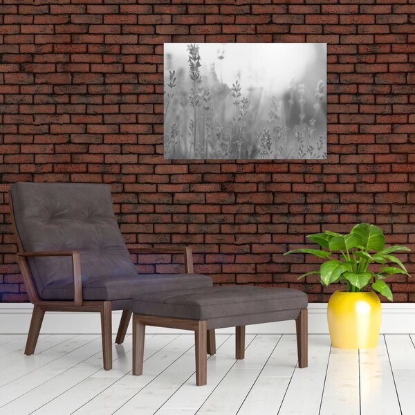Slika - Lavanda (70x50 cm)