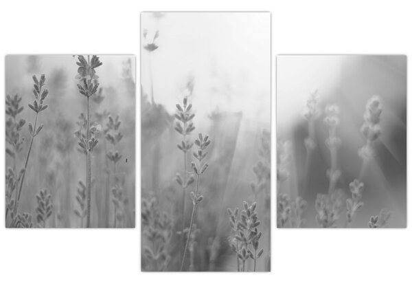 Slika - Lavanda (90x60 cm)