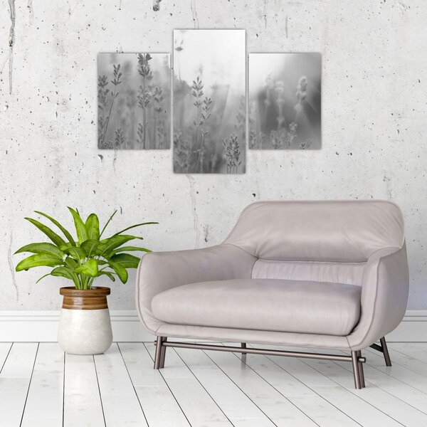 Slika - Lavanda (90x60 cm)