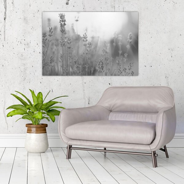 Slika - Lavanda (90x60 cm)