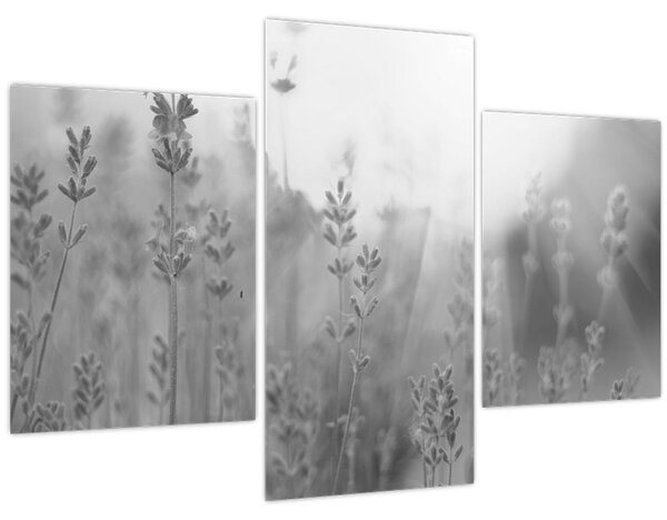 Slika - Lavanda (90x60 cm)
