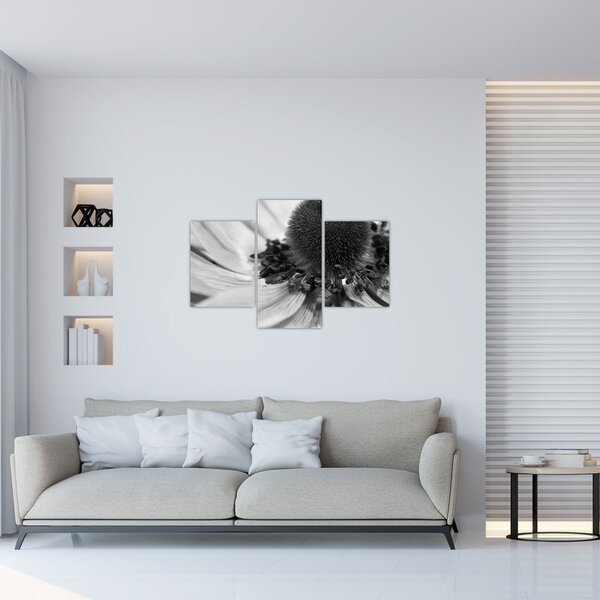 Slika - Cvijet u crno-bijeloj boji (90x60 cm)