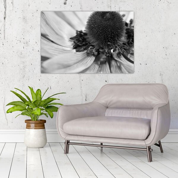Slika - Cvijet u crno-bijeloj boji (90x60 cm)