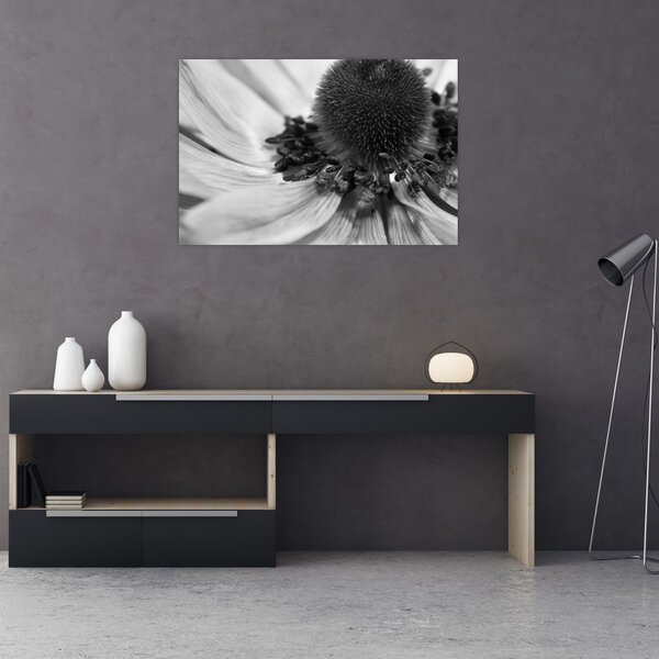 Slika - Cvijet u crno-bijeloj boji (90x60 cm)