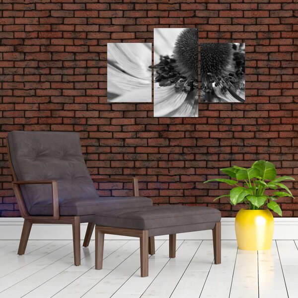 Slika - Cvijet u crno-bijeloj boji (90x60 cm)