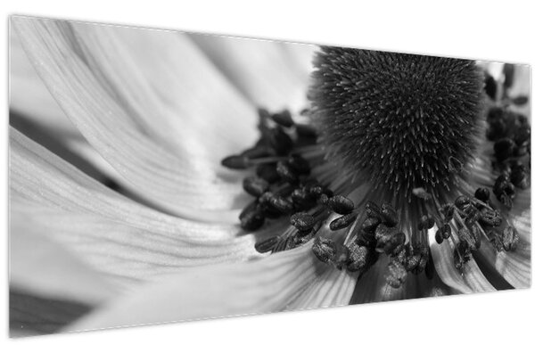 Slika - Cvijet u crno-bijeloj boji (120x50 cm)