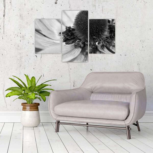 Slika - Cvijet u crno-bijeloj boji (90x60 cm)