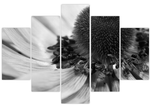 Slika - Cvijet u crno-bijeloj boji (150x105 cm)